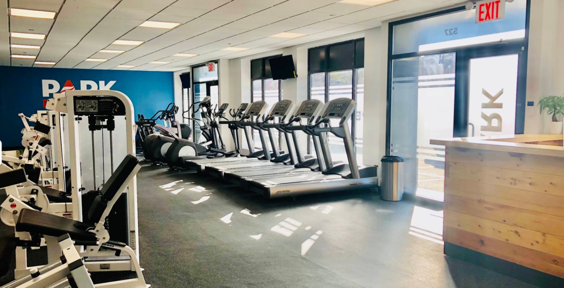 Park Fitness Gym (Indie Health Snacks!) - Image 2